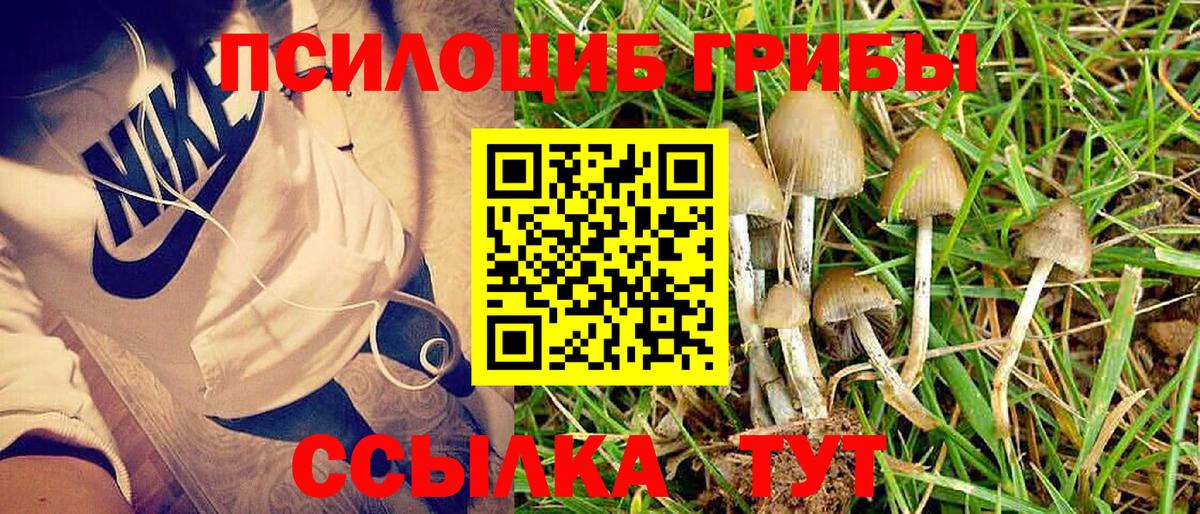 Галлюциногенные грибы мухоморы  Вход с VPN  Дзержинский  Галлюциногенные грибы мухоморы 